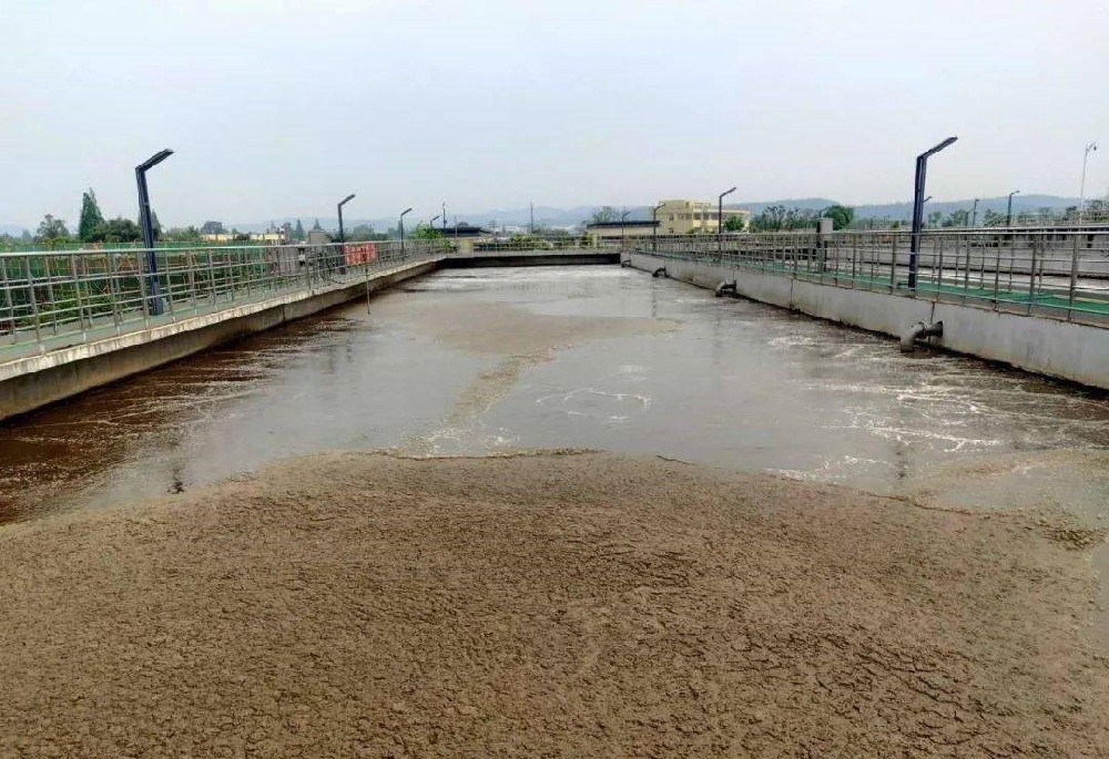Three Reasons for Sludge Floating in Secondary Clarifier